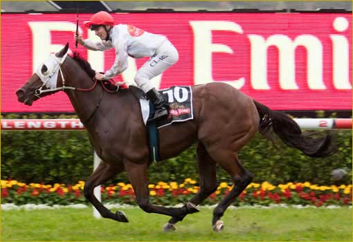 Horse Syndications