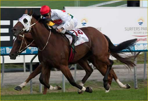 Race Horse Syndicates