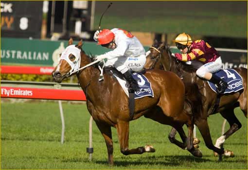 Racehorse Syndications