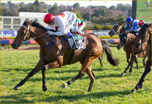 Race Horse Syndications