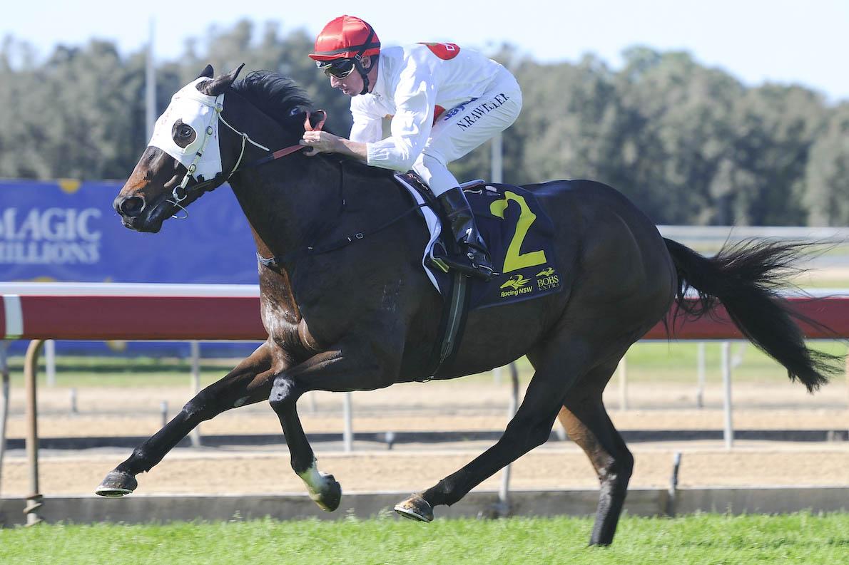 Dynamic Syndications Quality Racehorses
