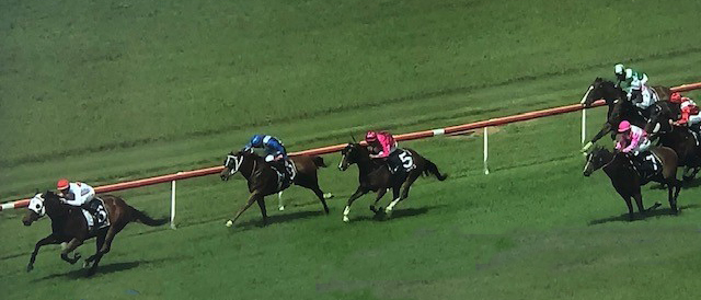 Dynamic 3yo FRECKLE ROCK Ultra Impressive in Awesome Debut WIN