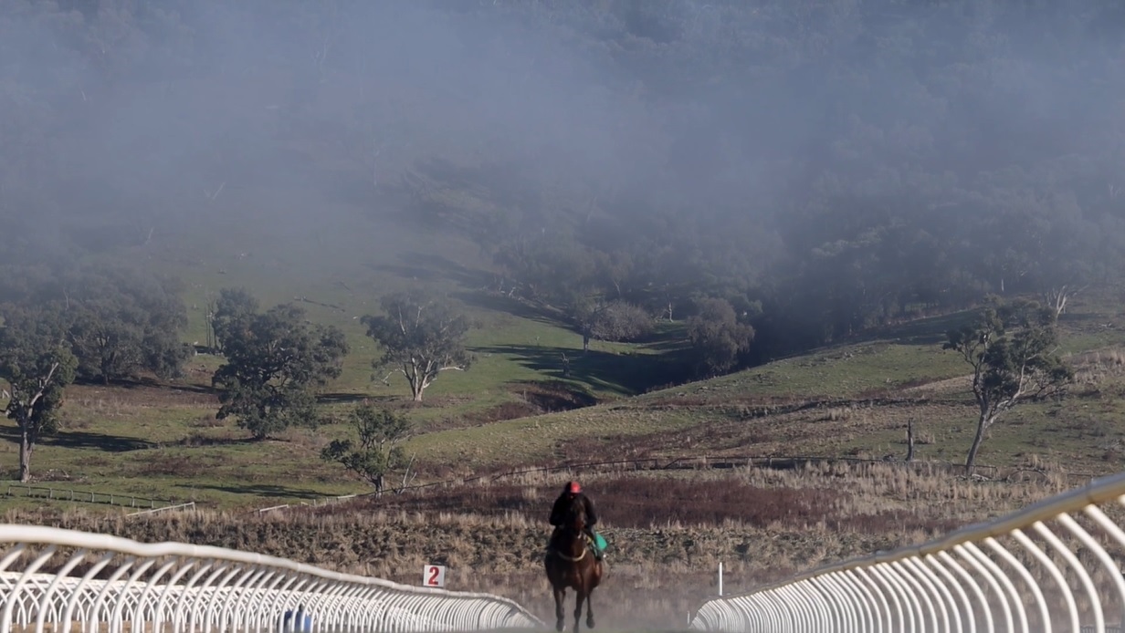 Gooree and Bimbadeen - Simply the Best for Dynamic Horses